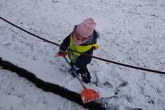 IMG_20260126_105609-1