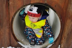 IMG_20260129_105742-1