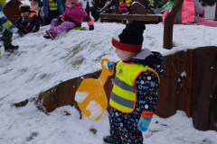 IMG_20260216_103953