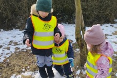 IMG_20260220_102846
