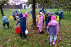 IMG_20250926_100424