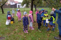 IMG_20250926_100439