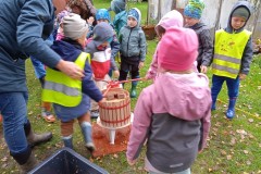 IMG_20250926_102912_1
