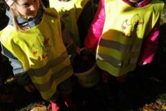 IMG_20211015_100456