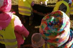 IMG_20211015_102120
