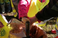 IMG_20211015_102406
