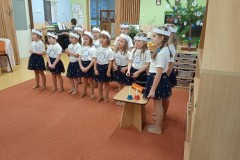 IMG_20241209_094741_1