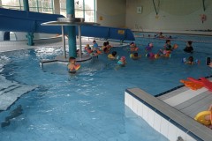 IMG_20250409_112214_1