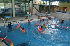 IMG_20250423_105950_1