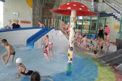 IMG_20250423_112445_1
