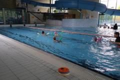IMG_20240424_102420_1