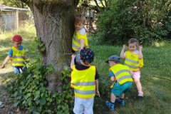 IMG_20260622_100818