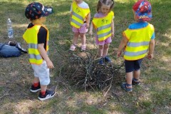 IMG_20260622_101609
