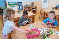 IMG_20250429_080614