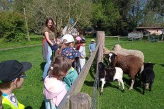 IMG_20250429_100341