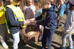 IMG_20250429_101125_1