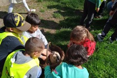 IMG_20250429_101213_1