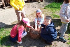 IMG_20250429_101225