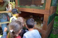 IMG_20250429_101626_1