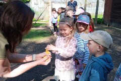 IMG_20250429_101924_1