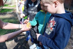 IMG_20250429_101959_1