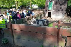 IMG_20250429_102306_1