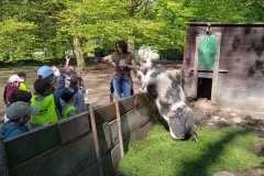 IMG_20250429_102557