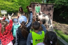 IMG_20250429_102606