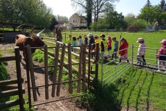 IMG_20250429_103139_1
