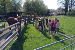 IMG_20250429_103200