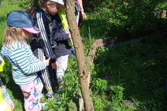 IMG_20250429_104238