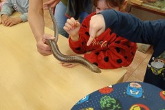IMG_20250429_104857