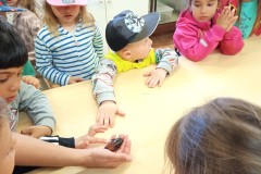 IMG_20250429_105358
