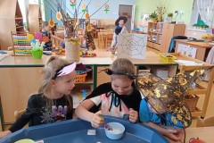 IMG_20250430_084041_1