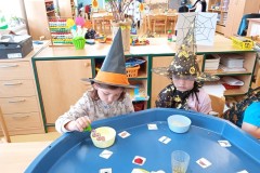 IMG_20250430_084243_1