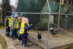 IMG_20260310_093209