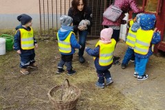 IMG_20260310_094949