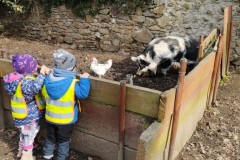 IMG_20260310_095844