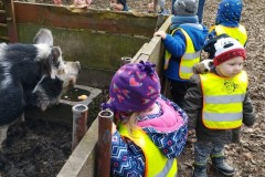 IMG_20260310_100120