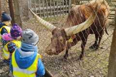 IMG_20260310_100557