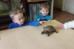 IMG_20260310_101723