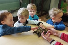 IMG_20260310_101745