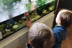 IMG_20260310_101905