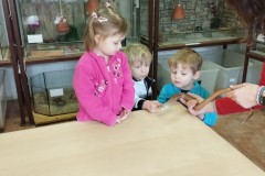 IMG_20260310_101945