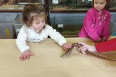 IMG_20260310_101951