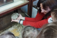 IMG_20260310_102310