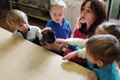 IMG_20260310_102455