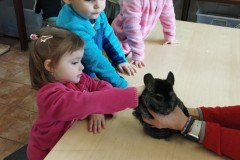 IMG_20260310_102530