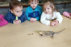 IMG_20260310_102949
