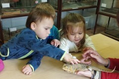 IMG_20260310_103109